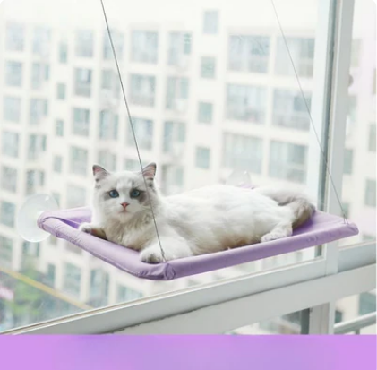 Suspended Cat Bed